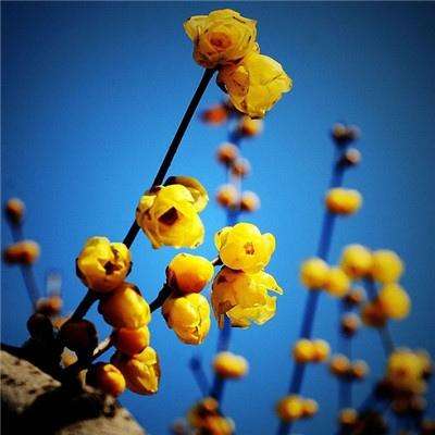 亚搏全站APP官网下载截图