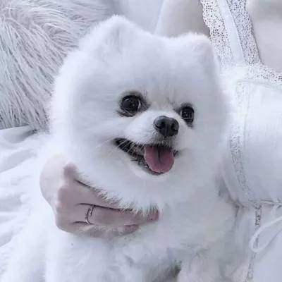 皇冠体育下载地址