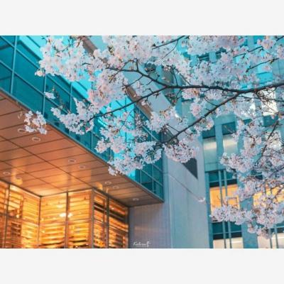 好运彩下载手机版