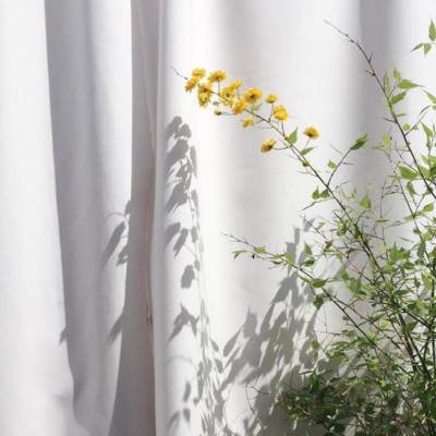 皇冠体育下载地址截图