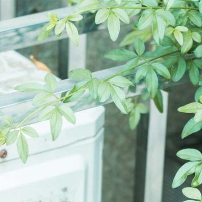 永乐国际app下载